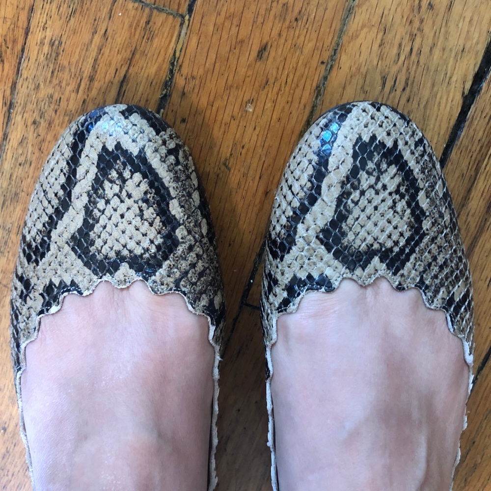 Chloe Size 40 Ballerinas, color dark Greige, brand new